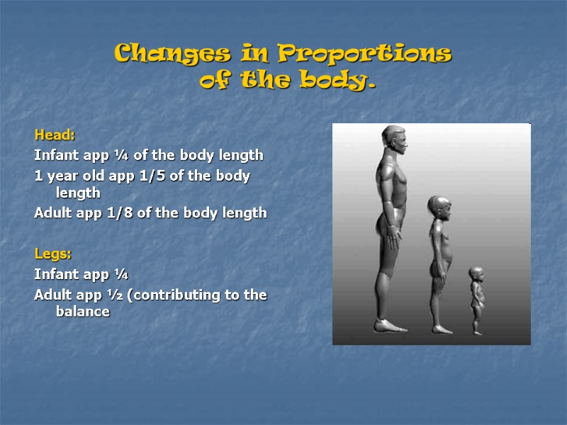 Changes in Proportions  of the body. Head: Infant app ¼ of the body